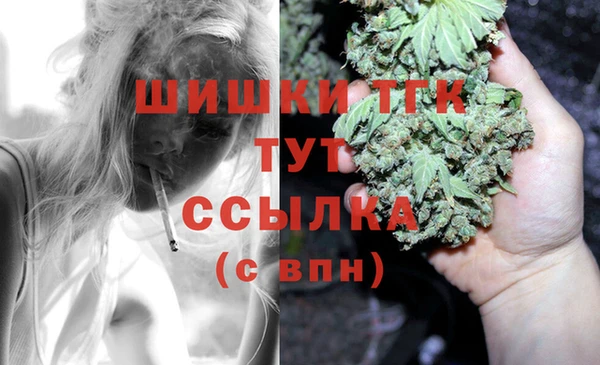сатива Шадринск