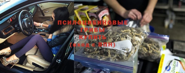 сатива Шадринск