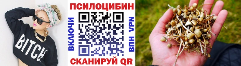 Галлюциногенные грибы Psilocybe  дарнет шоп  Пермь 