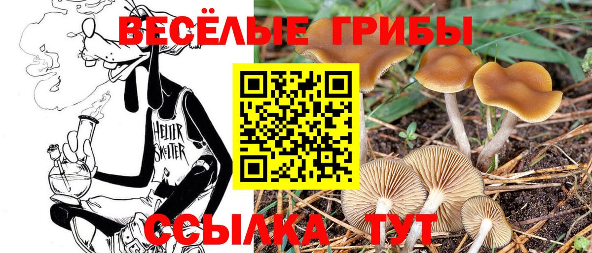 Псилоцибиновые грибы MAGIC MUSHROOMS  Вход с VPN  что такое   Пермь 
